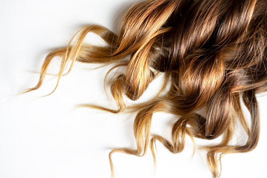 Alles was du über Haare wissen musst