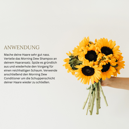 MORNING DEW SHAMPOO - PULVER