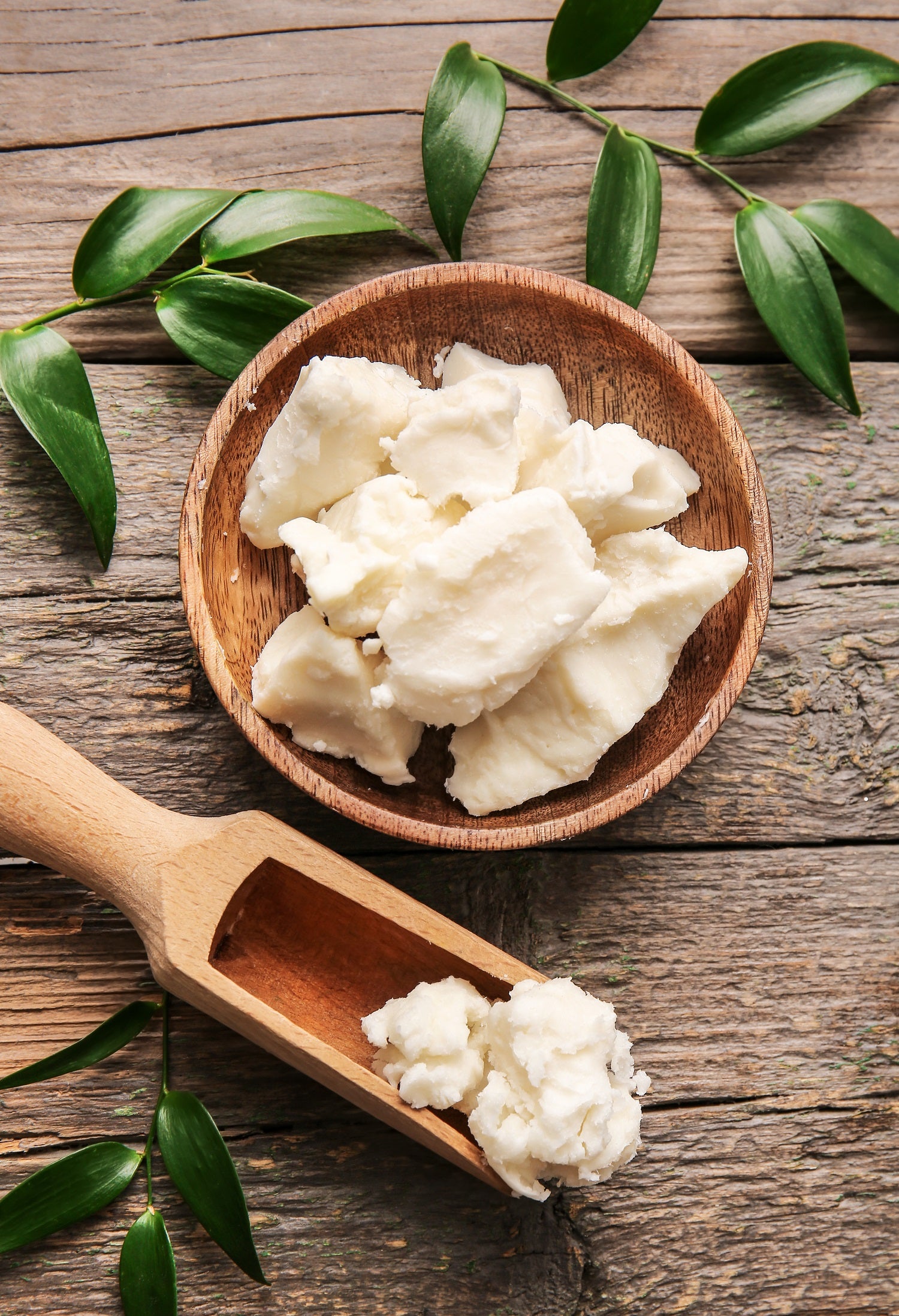 Teller und Schöpfkelle mit Sheabutter und grünen Blättern auf Holzuntergrund