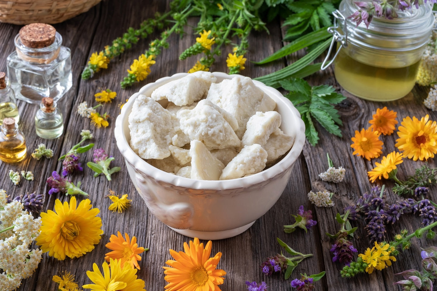 Sheabutter in Stücken, in einer Schale auf einem Holztisch. Verschiedene Kräuter, gelbe und weiße Blumen und verschiedene Öle liegen beziehungsweise stehen um die Schale herum. Dieses Bild steht für natürliche Inhaltsstoffe.